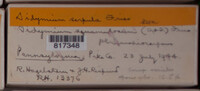 Image Associated With the Occurence